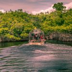 Person driving air boat on the water in the Florida everglades